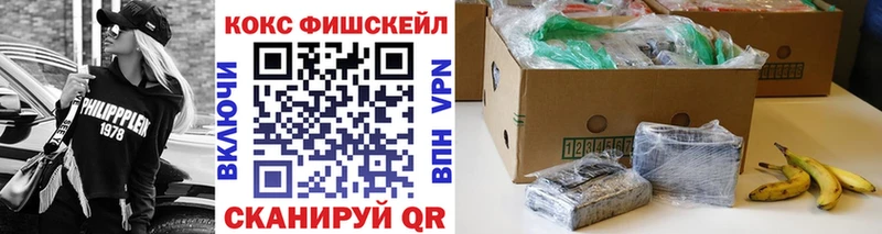 Cocaine Fish Scale  сколько стоит  ОМГ ОМГ зеркало  Черняховск 