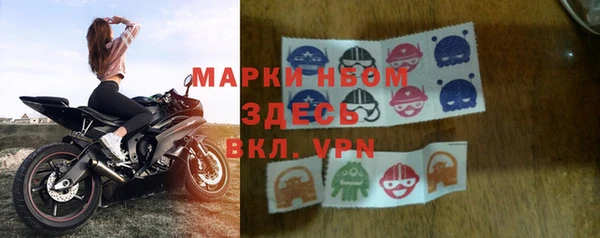 сатива Балахна