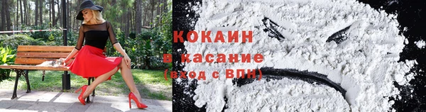 сатива Балахна