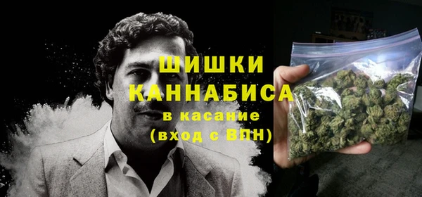 сатива Балахна