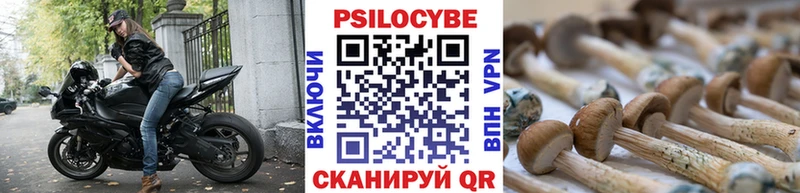 Псилоцибиновые грибы прущие грибы  МЕГА ссылка  Черняховск 